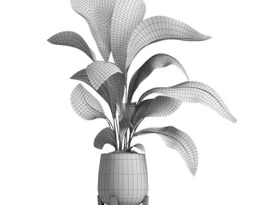 indoor plant 054 3D model