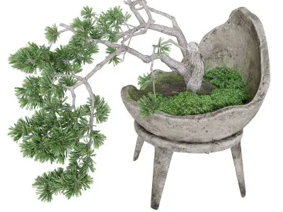 Decorative pine tree bonsai 3D model