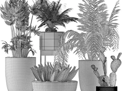 Plants Collection 19 3D model