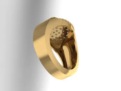 Chain ring 3D print model