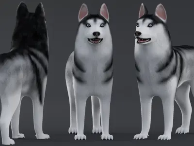 Dog Siberian Husky Low Poly Model Game AR VR Low-poly 3D model