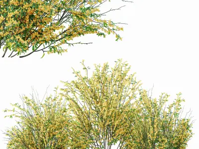 AV 14 Different sets of spring and summer shrubs 3D Model Collection