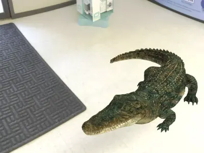 Aligator or crocodile animal 3d model 3D model