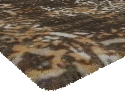 Rug Set 991 3D model
