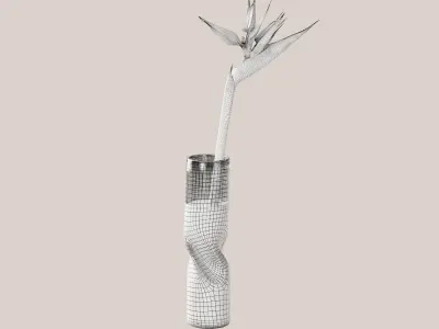 Strelitzia flower 3D model