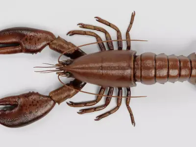 Lobster - Detailed Realistic Crustacean Homarus Americanus 3D model