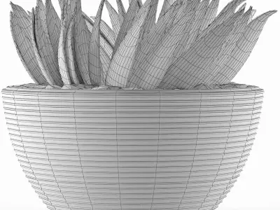 House Plant 23 3D model