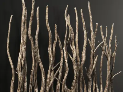 Planter wall branch crooked old n4 3D model