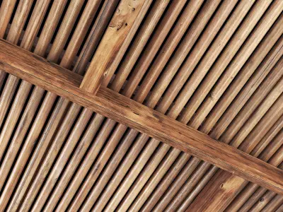 Ceiling straight thin branch n6 3D model