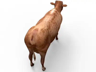 Brown Cow Cattle  Low-poly 3D model