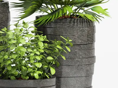 Decorative plant set-25 3D model