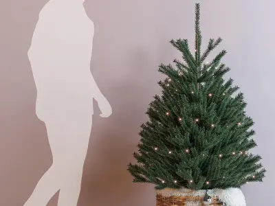 Christmas tree decorative set 3D model