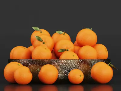 Orange Dish 3D model