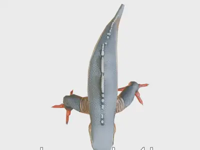 Slick-Scaled Monster with Teeth and Suction Cup Limbs 3D Model Low-poly 3D model