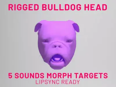 Bulldog Head Rigged Lipsync Low-poly 3D model