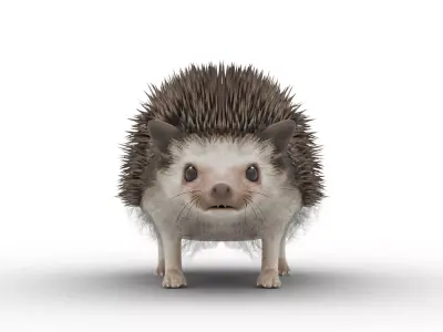 Hedgehog Low-poly 3D model