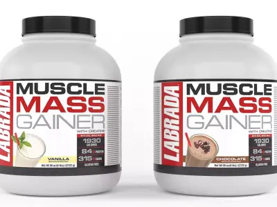 Protein Powder 3D model