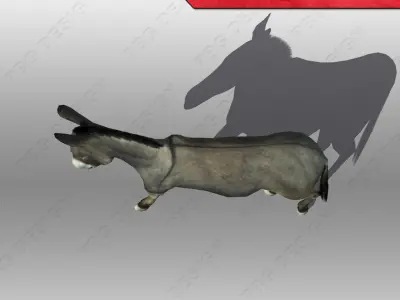 Donkey Animated Low-poly 3D model