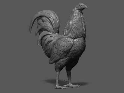 Rooster fighting 3D print model
