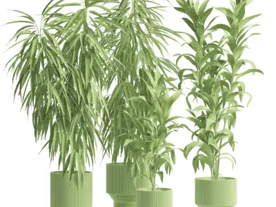 Indoor Plants Pack 88 3D model