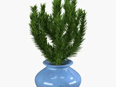 Rosemary - plant in a pot 3D model