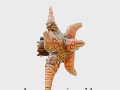 Sunflower Star Marine Creature Model with Detailed Texture Low-poly 3D model