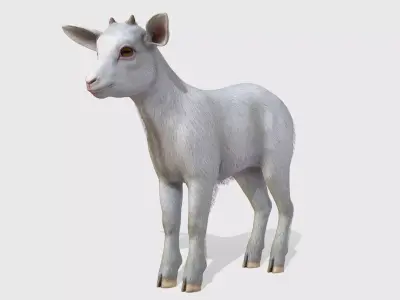 Goatling  Low-poly 3D model
