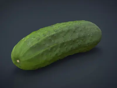 Cucumber Low-poly 3D model