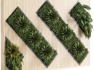 Wall plants set partition in frame 02 3D model