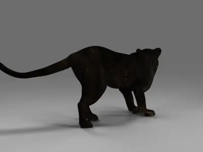Black Panther Rigged in Blender  Low-poly 3D model