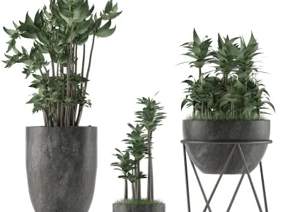 Plants Collection 14 3D model