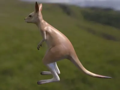 Kangaroo with 3 animations Low-poly 3D model
