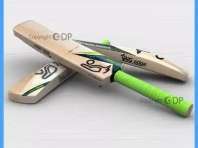 Cricket Bat 92 3D model