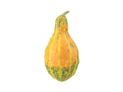 Photorealistic Decorative Gourd 3D Scan 3D model