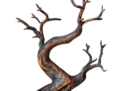Decorative Rustic Old Twisted Weathered Dry Tree Branches 3D model