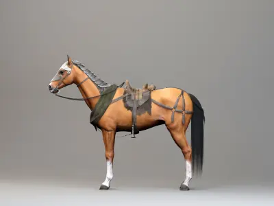 Classic Horse - Medieval Type Low-poly 3D model