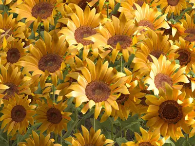 Sunflower field 3D model