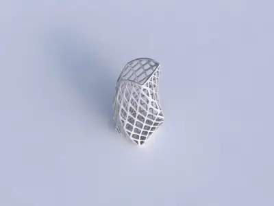 Vase twisted arc quadratic with diagonal grid lattice 3D print model