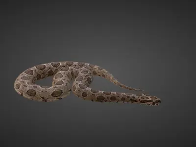 Russell Viper Animated VFX Grace 3D model