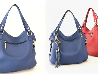 Petite Jolie Luxurious Bag 3D model