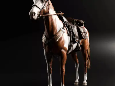 Rigged Horse And Saddle 3D model