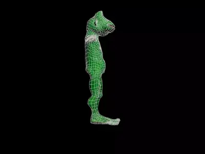 karekter modeli animasyon  3D model