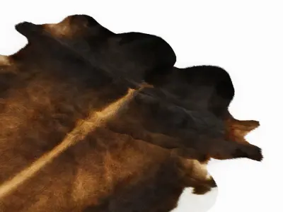 Cowhide Rug Europe Dark Brown 3D model