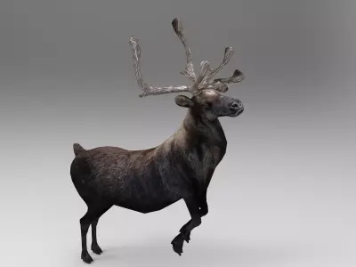Black Reindeer Rigged  Low-poly 3D model