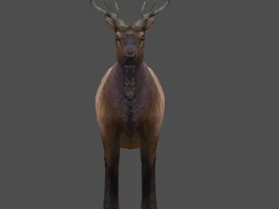 ELK  deer 3D model Low-poly 3D model