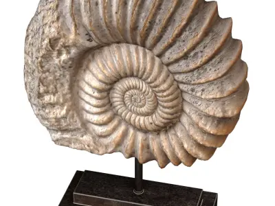 Nautilus Shell Sculpture Ammonite Mounted Nautilus Statuette 3D model