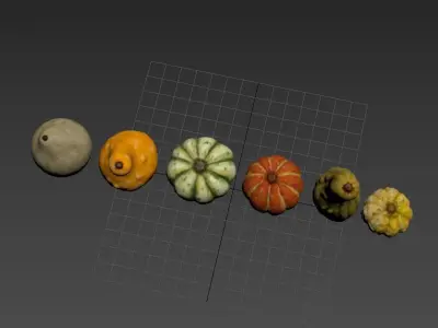 Gourds for Fall Decor 3D model