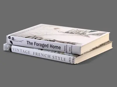 Decor Vase and books Set 5 3D model
