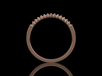 Double Ring 3D print model