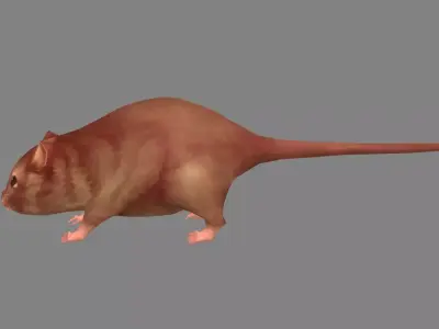 Cartoon mouse Low-poly 3D model 3